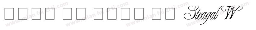 当前位置 首页 英文字体 正文 SteagalW01字体转换